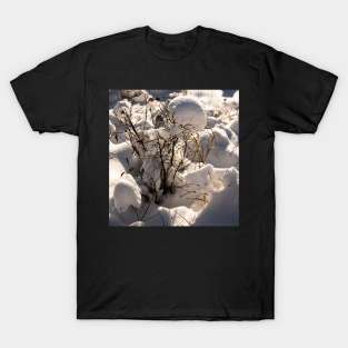 Fresh snow T-Shirt